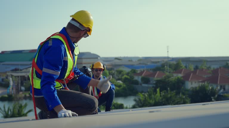 Best Roof Moss and Algae Removal  in Dublin, TX